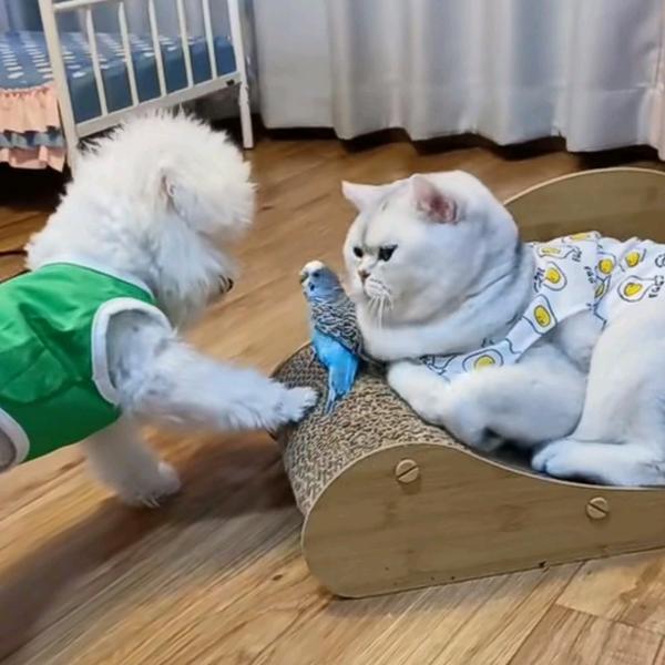 搁浅