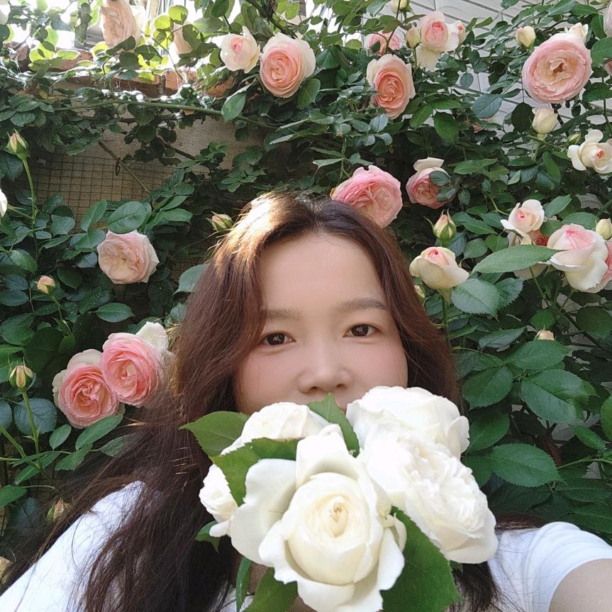 羽嘉不吃香菜