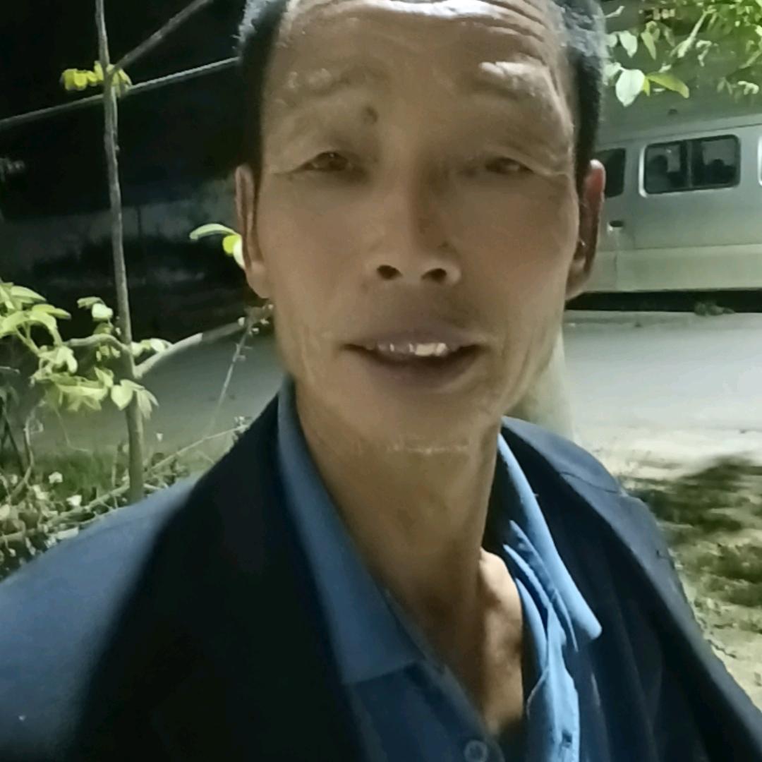 天天法