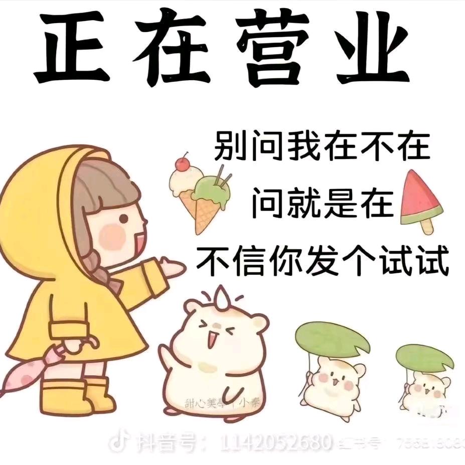皖北司令