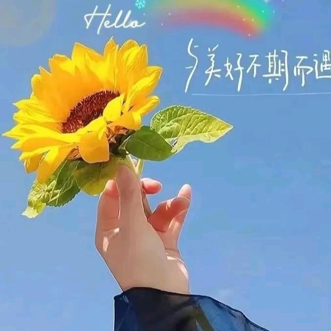 乐兴 安心剪辑