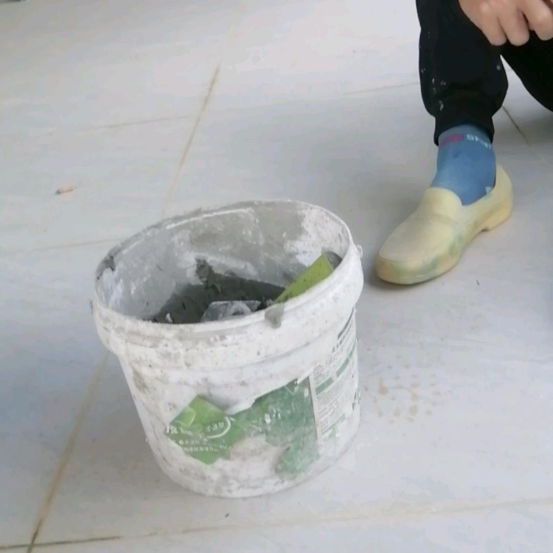 风之恋