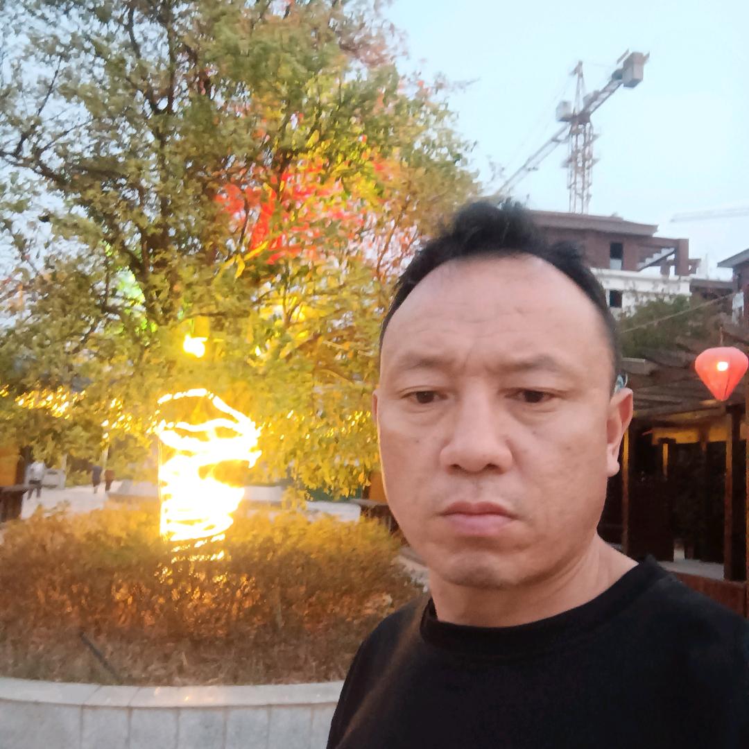 会飞的鱼