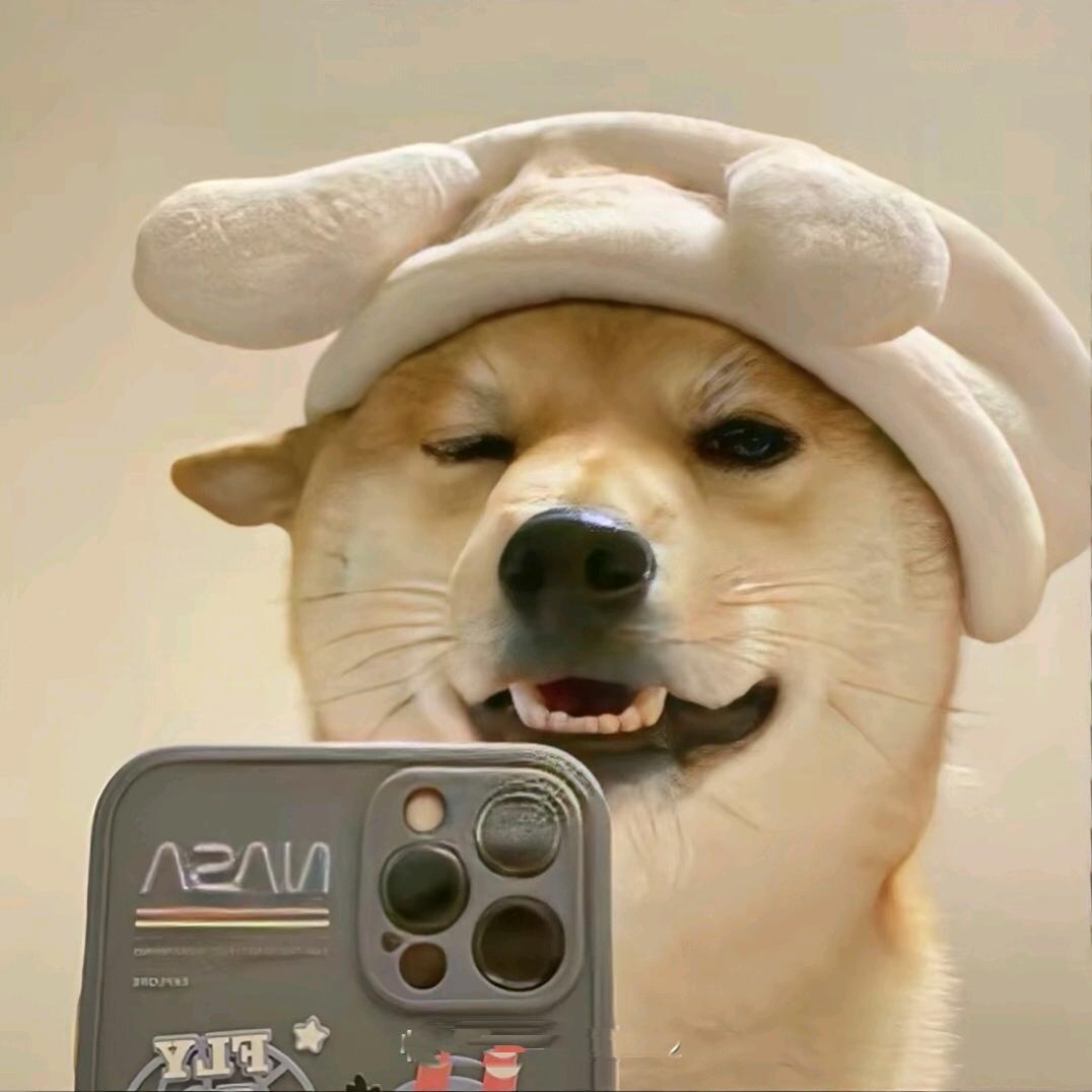 小涛的生活日常🌄