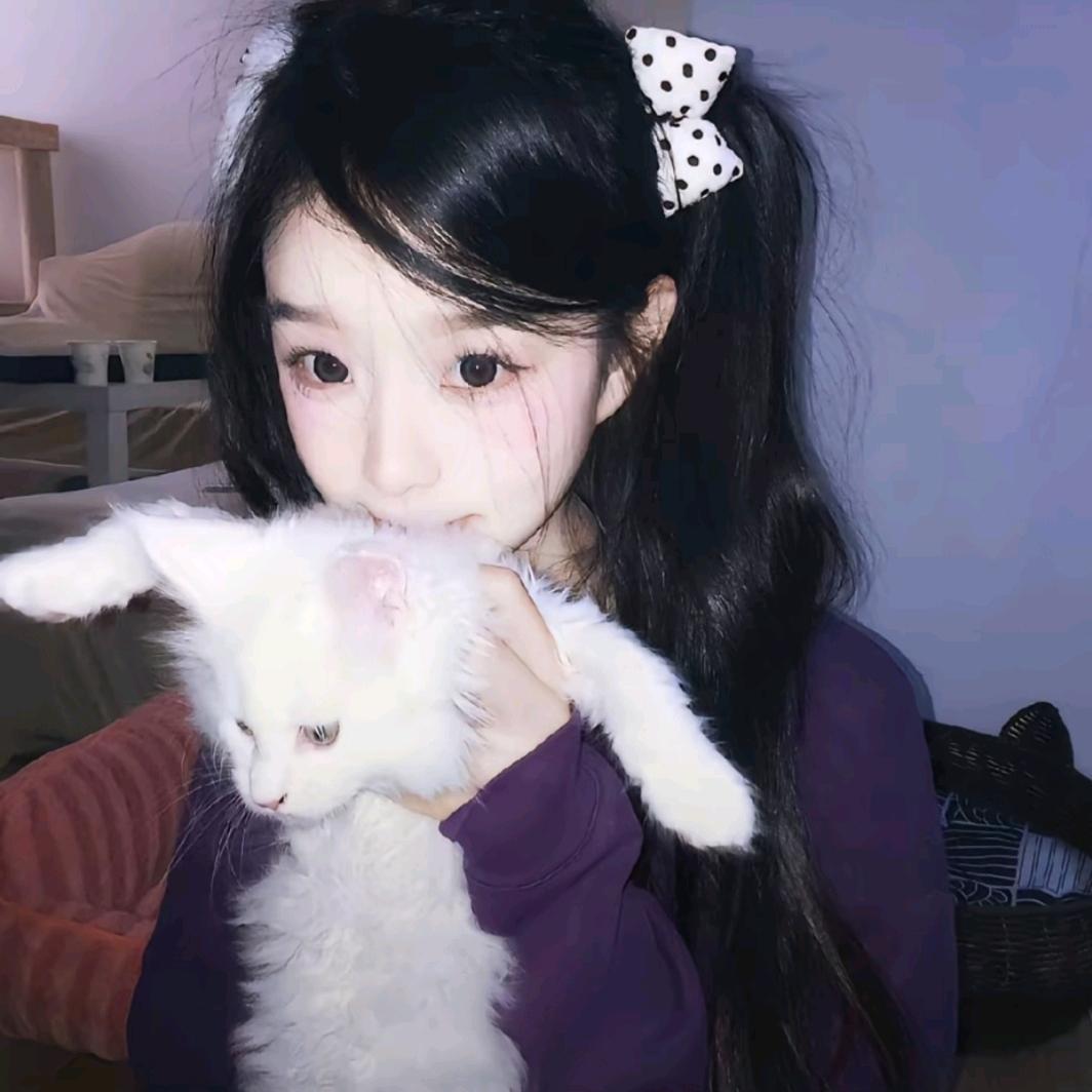 呆小布