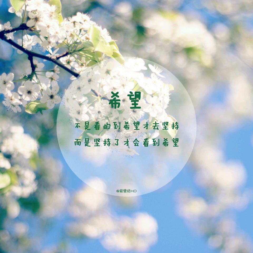 弹指一挥间