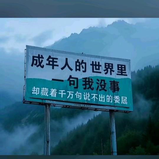 夹皮沟豆饼小金叶