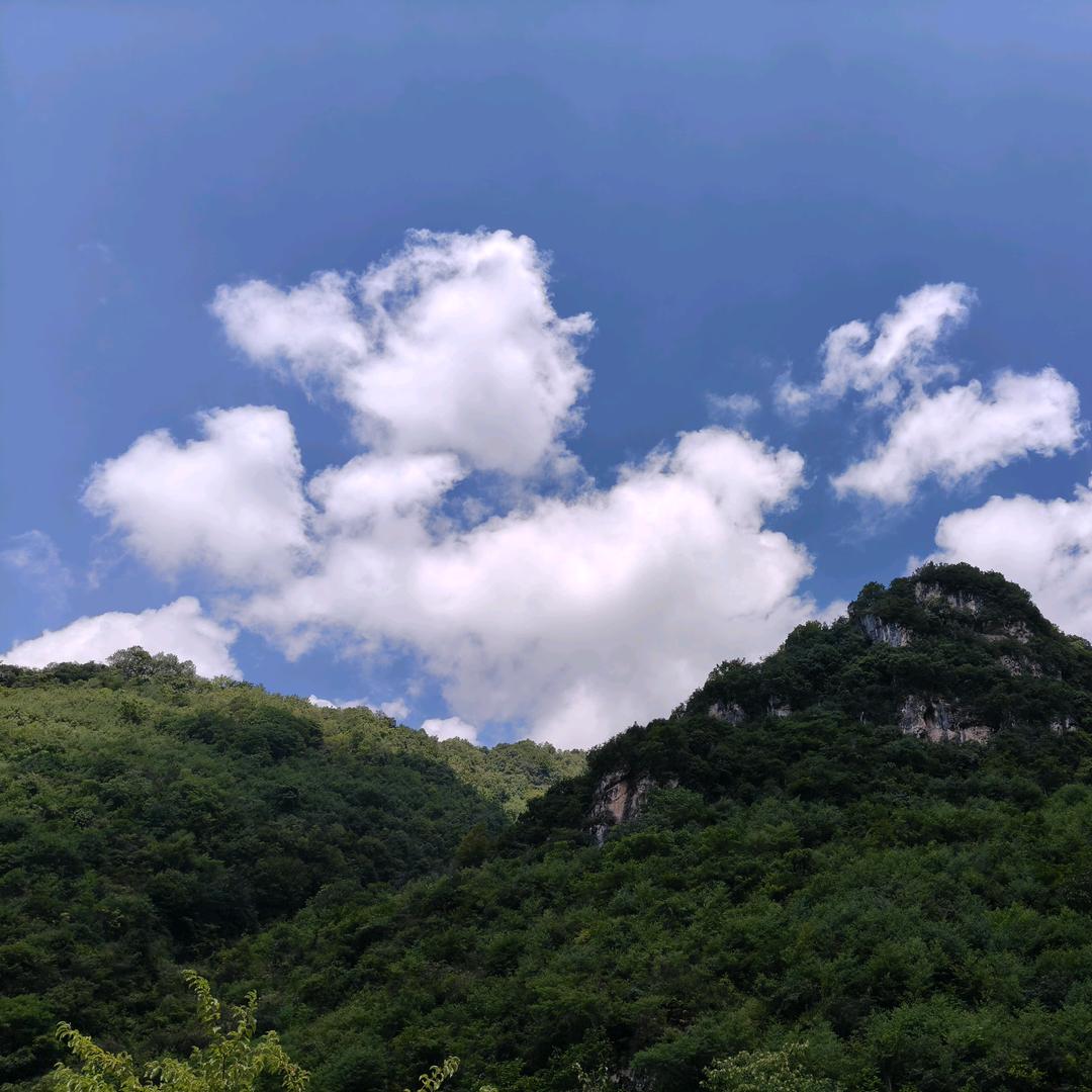 静