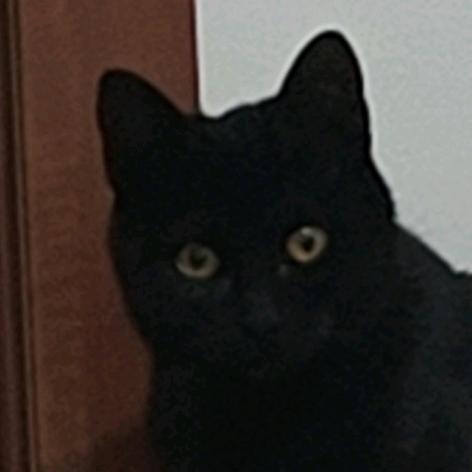 。。