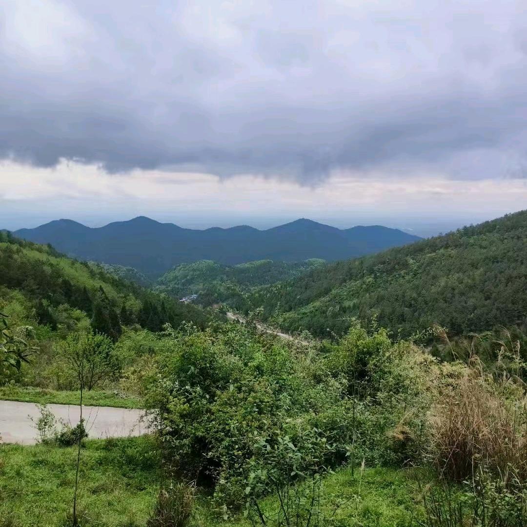 🦋ꦿ᭄໊悠然🍀时光᭄ꦿᩚ٭🎀