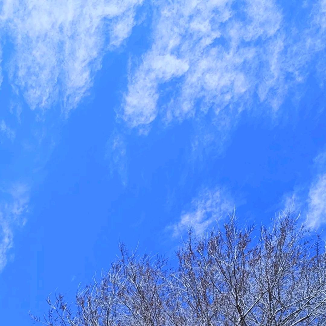 🧊川