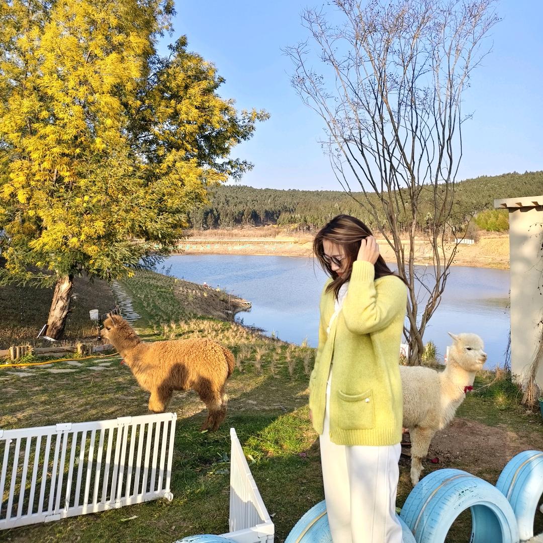 春风敬我桃花酒