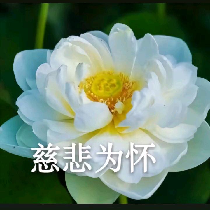 慈善堂