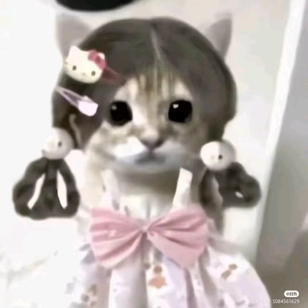 /•᷅•᷄\୭