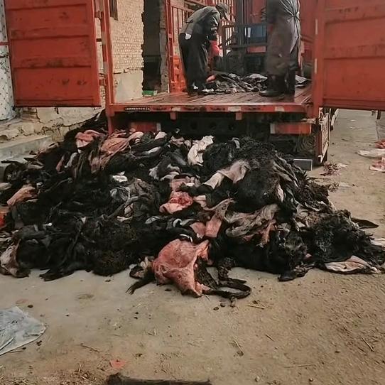 生冻驴肉源头批发，熟驴肉批发