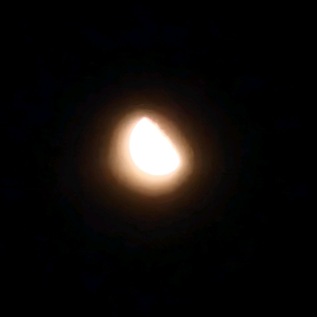 主打鲜