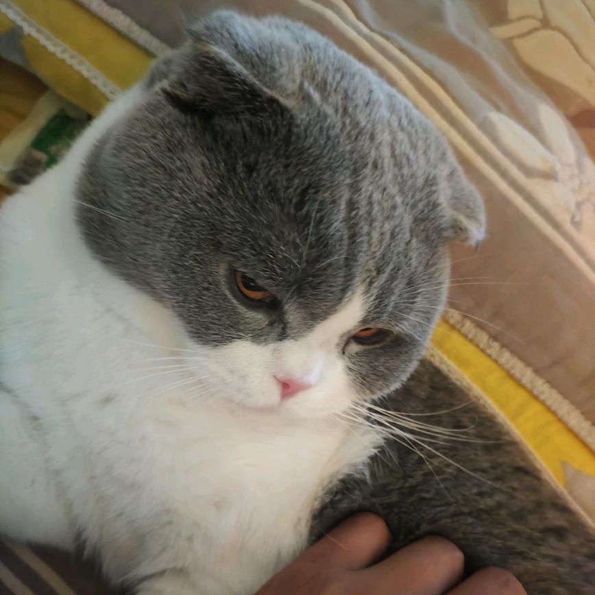 阿荣旗新路标画室