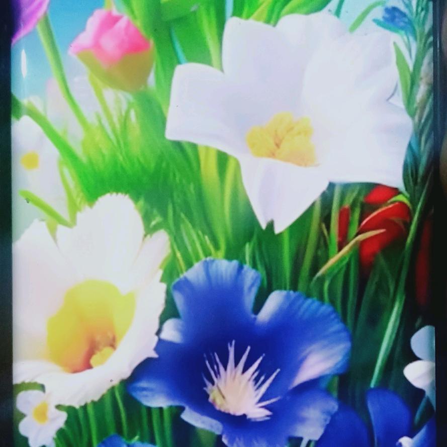 绿豆