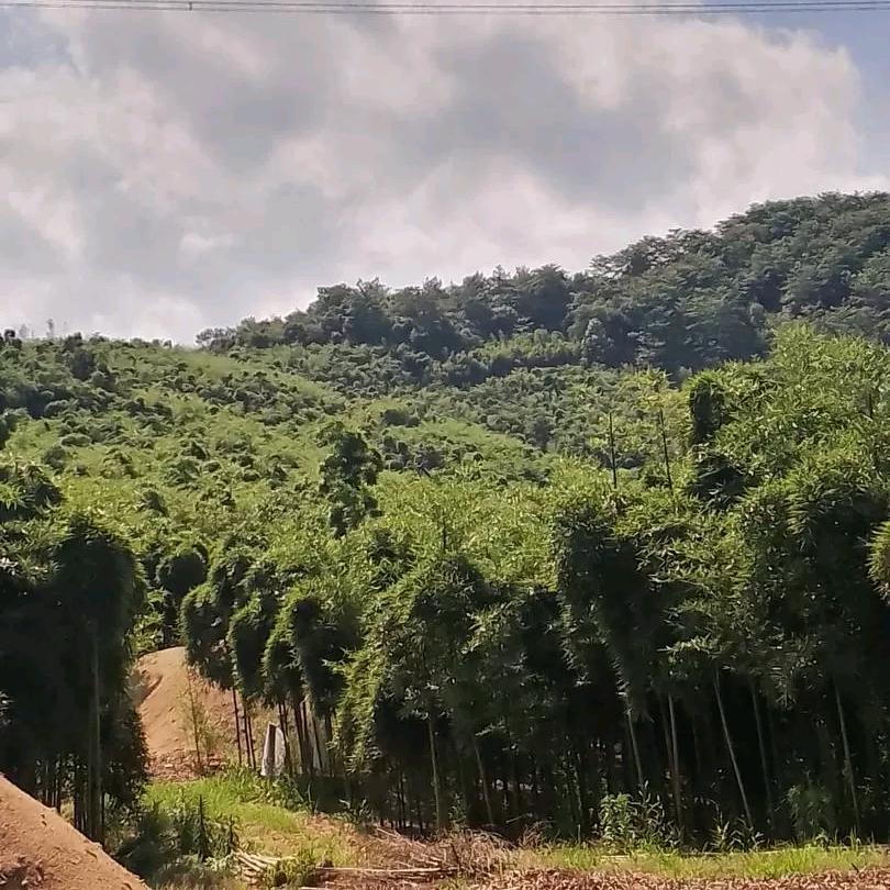 心在漂泊