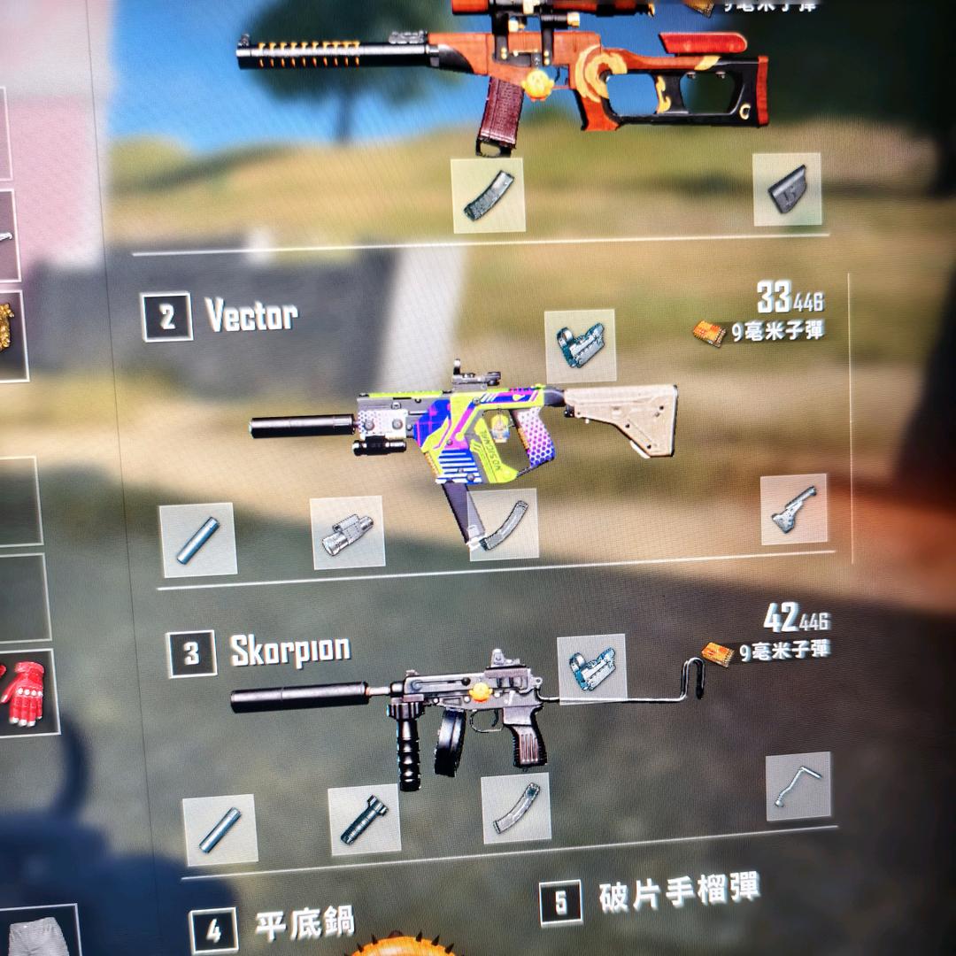 山十榴