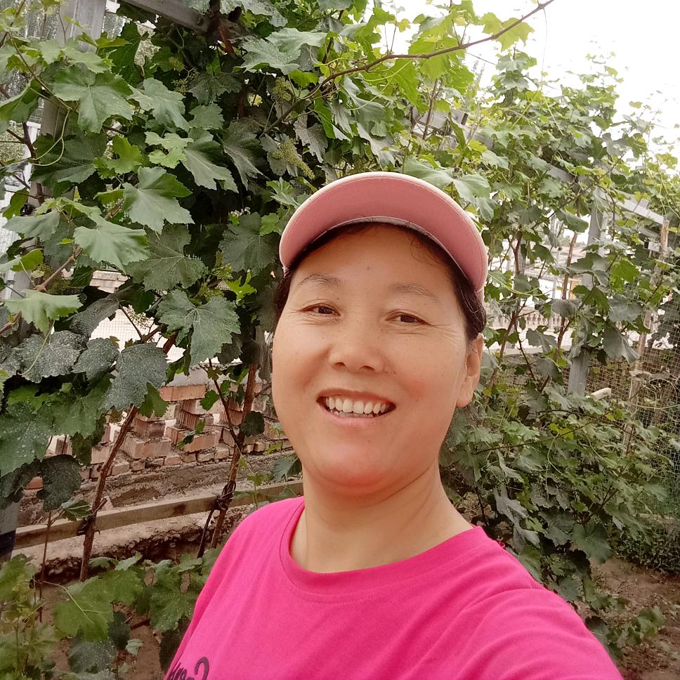 阿克苏棉花