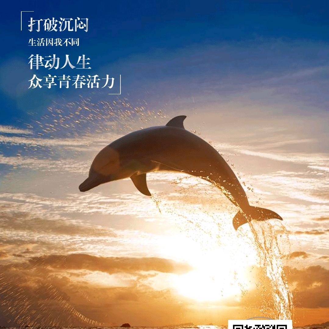 明哥