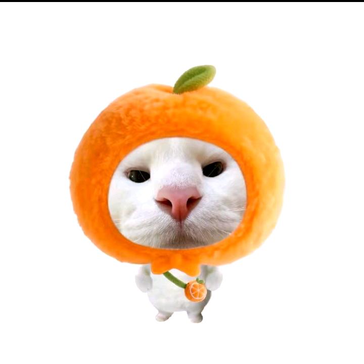 ʚ _jelly-小 袆 糖ɞ