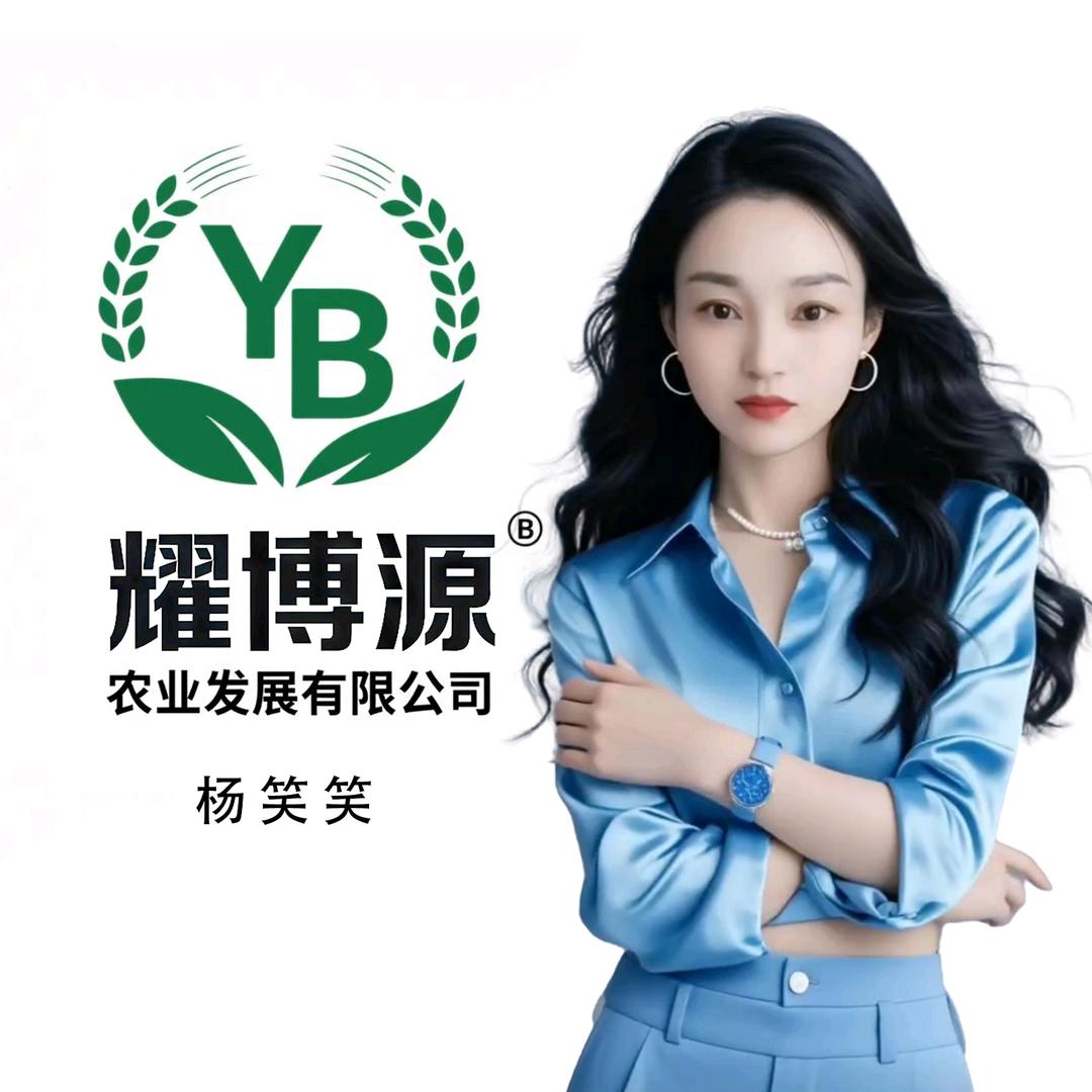 耀博源—杨老师3