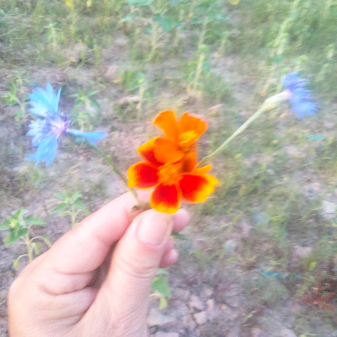 (ง •̀_•́)ง一吕阳光꧂