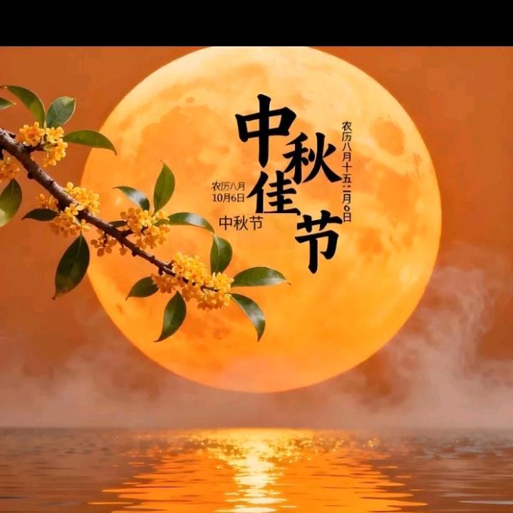 我爱我家|♦《谢绝私聊 》