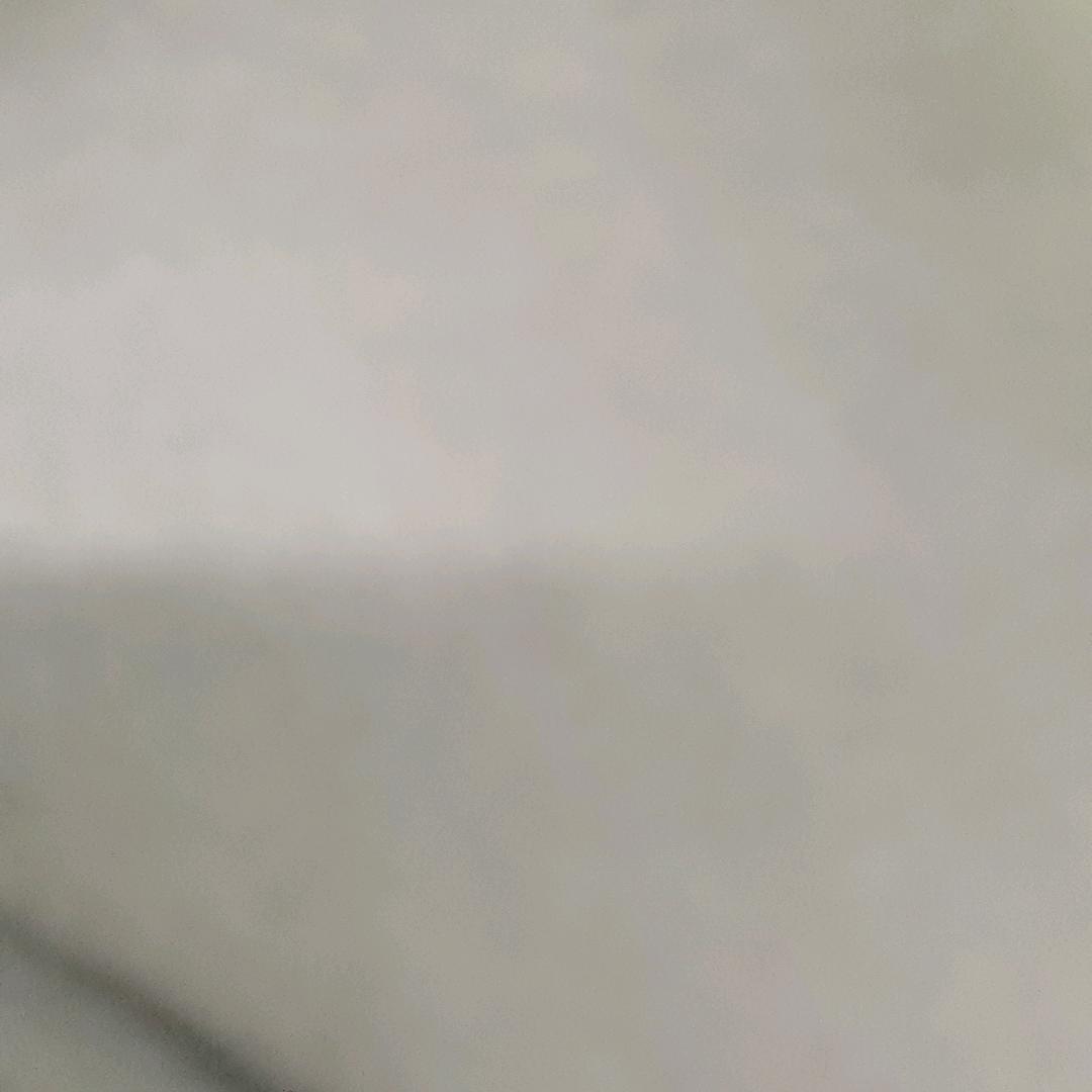 啊贱