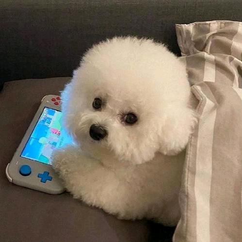 不要喝热水