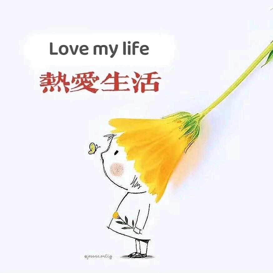 ᭄壶酒ᝰᩚ渡凡尘ꦿ໌: