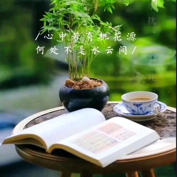 螃蟹姐