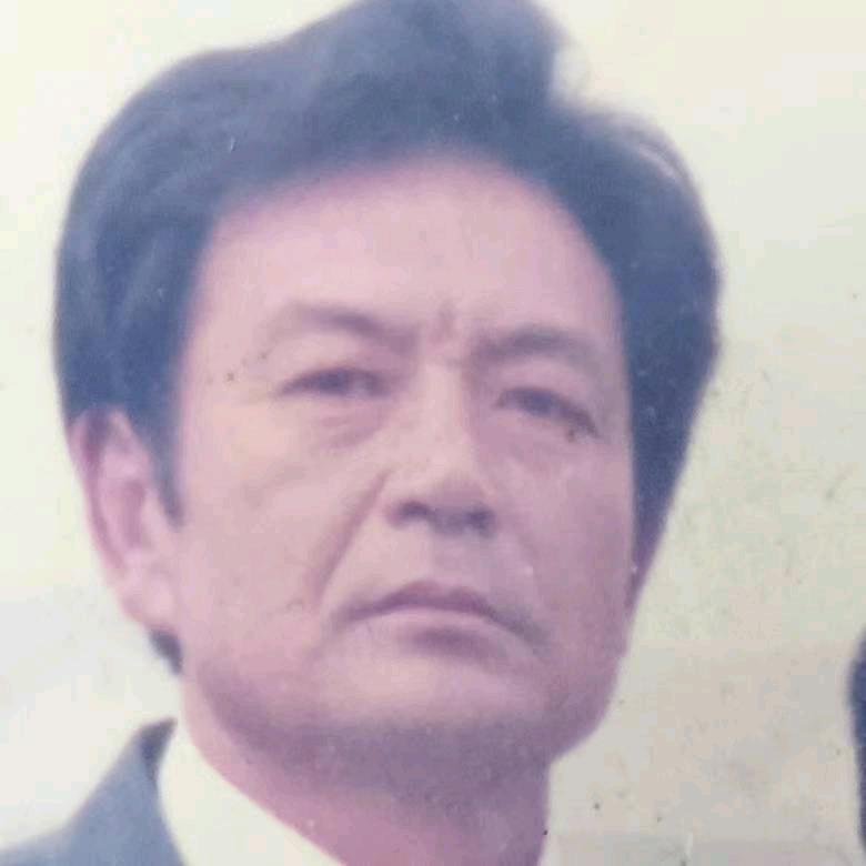 段启平