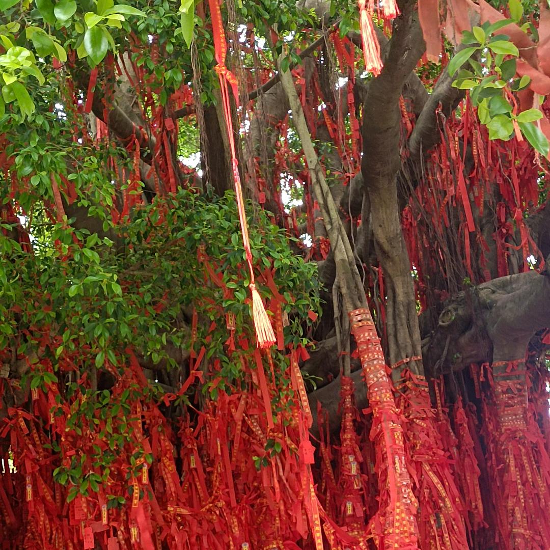 @ 姐的个性💖💝你模仿不来💞