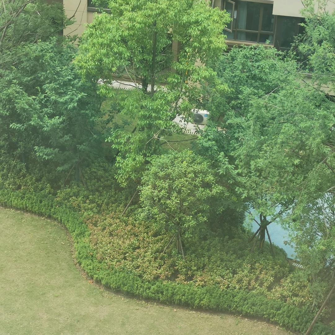他已贸易