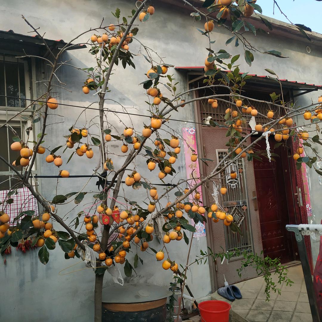 顺风顺水