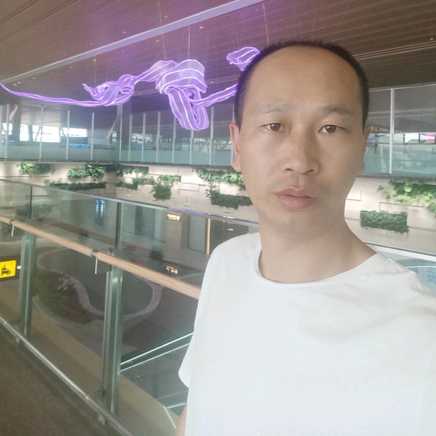 桃花劫→→花香蝶自来！