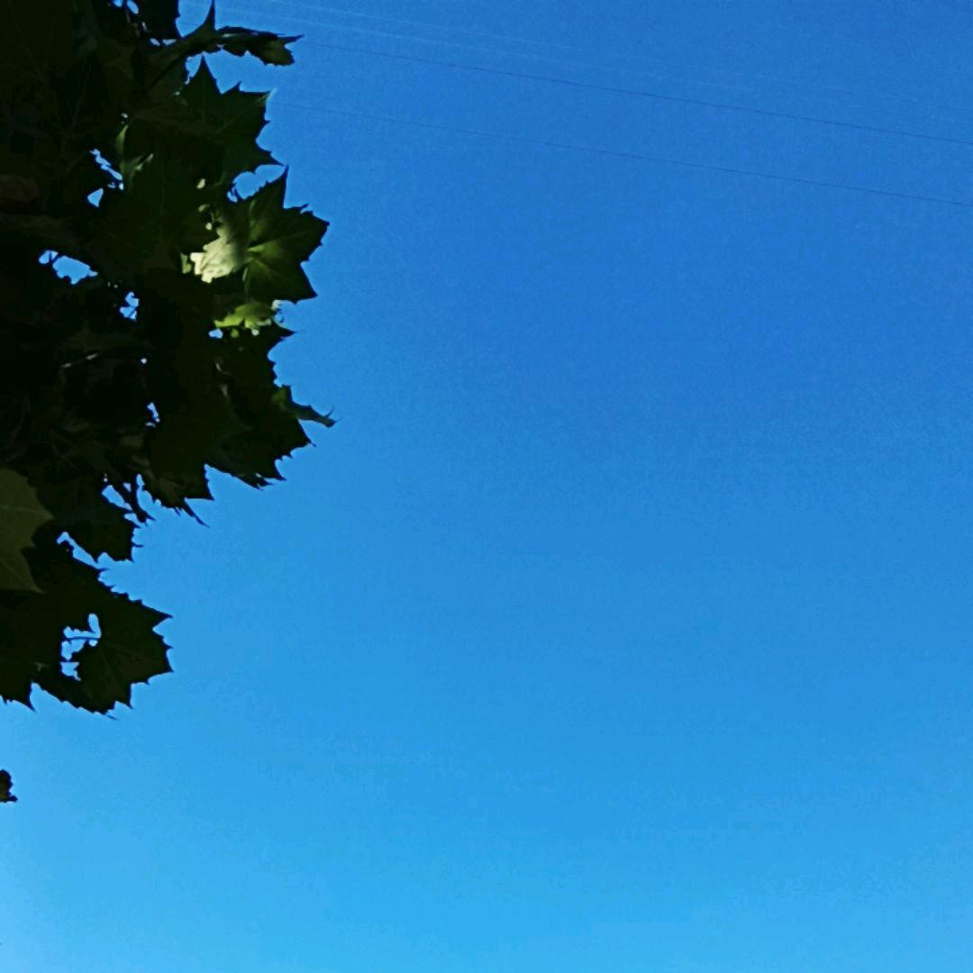 。。。。。。。