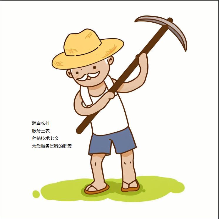 种植老金