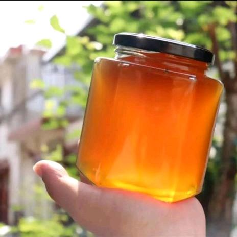 大磊家蜜源