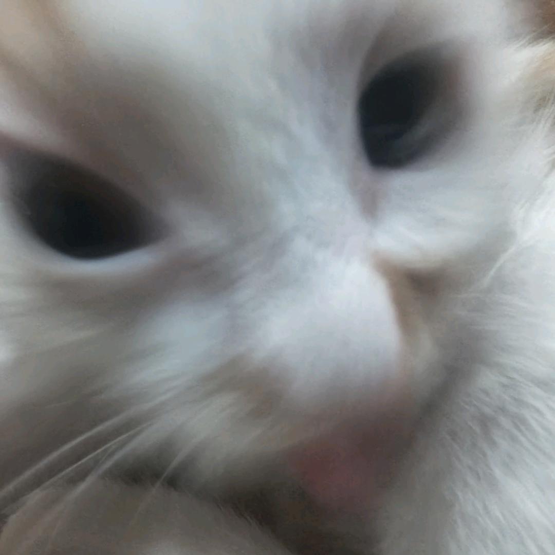 阿K
