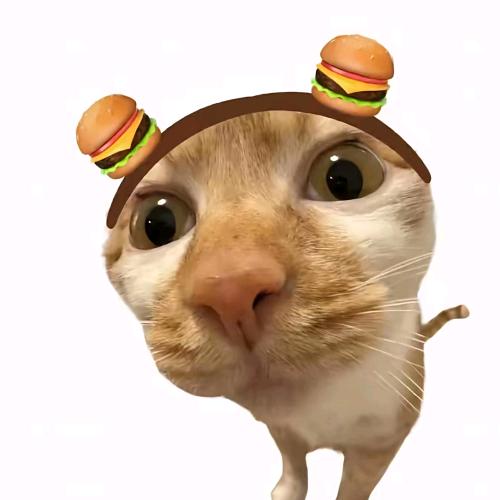 .泪痕愛🚬🐑