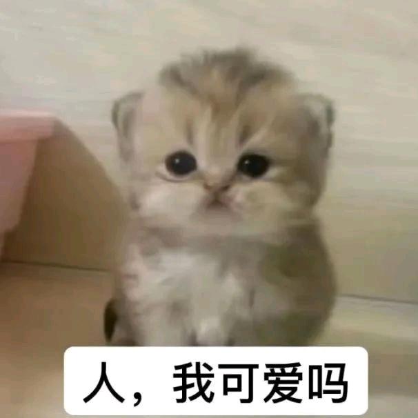 昕昕大王^_^