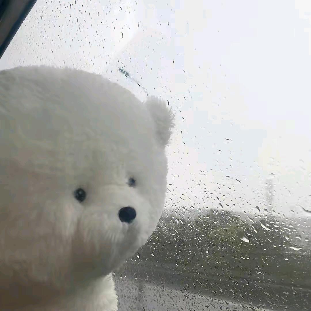 我爱吃洋芋