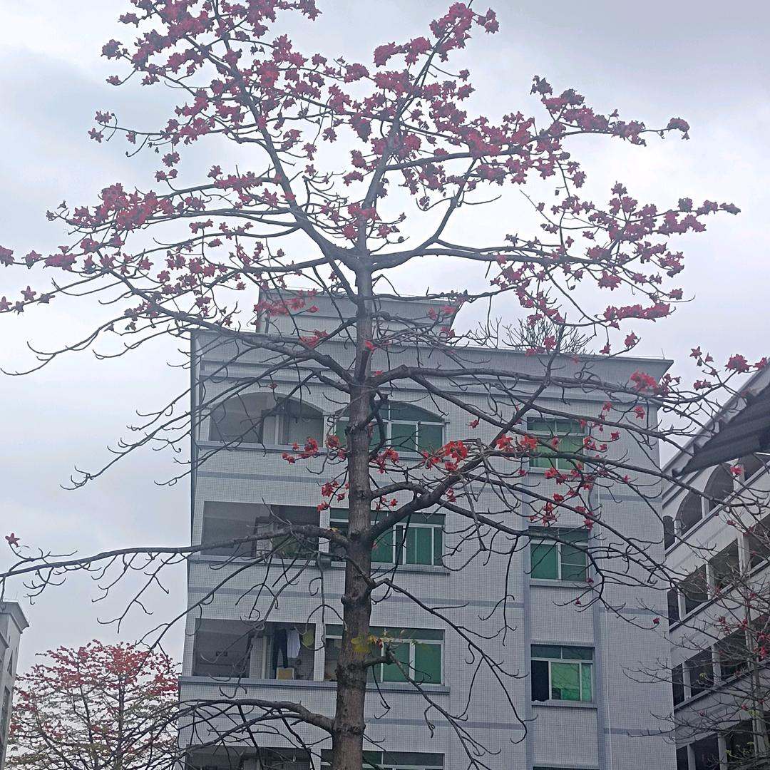 知心爱人