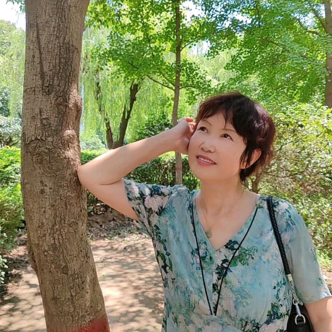 梦港