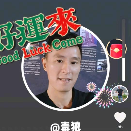 毒狼