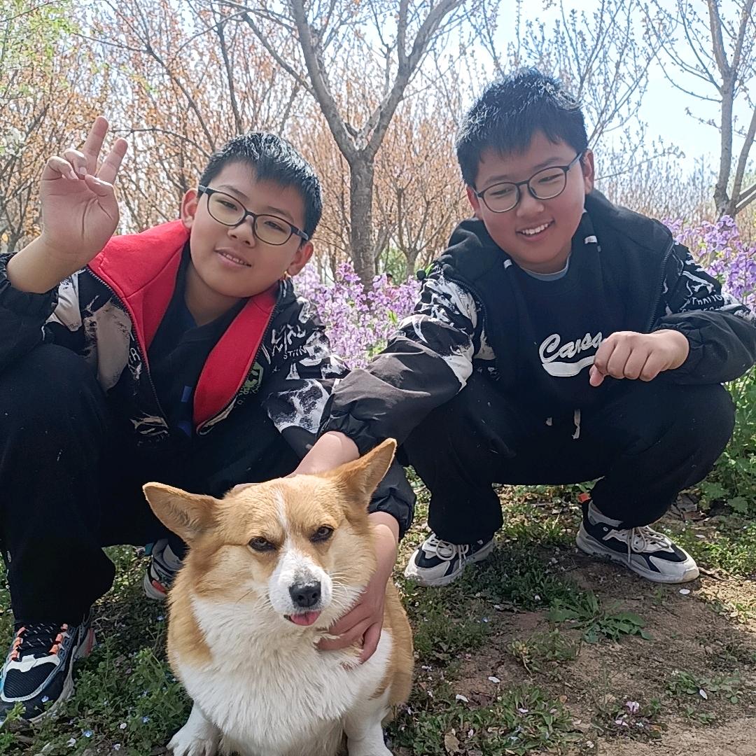 小豆豆